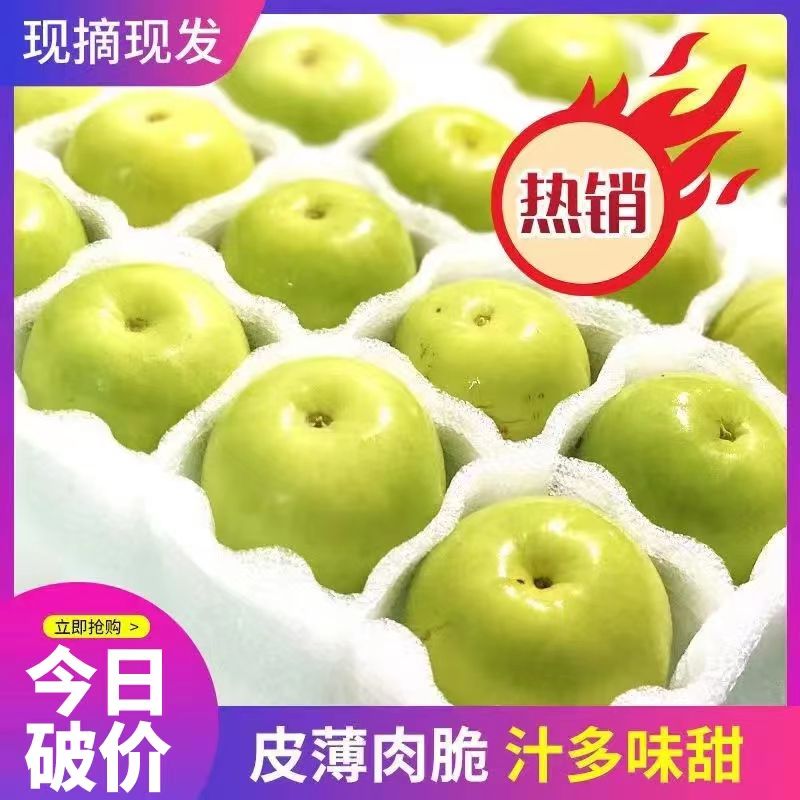 福建牛奶青枣贵妃枣新鲜现摘脆甜大青枣当季孕妇水果1/3/5斤奶香