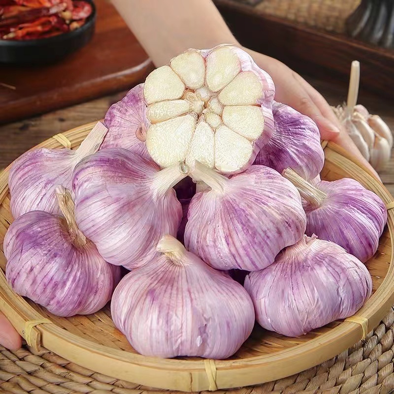 【大果】金乡紫皮大蒜5斤大蒜头新鲜紫白皮蒜可种金乡自种大蒜3斤