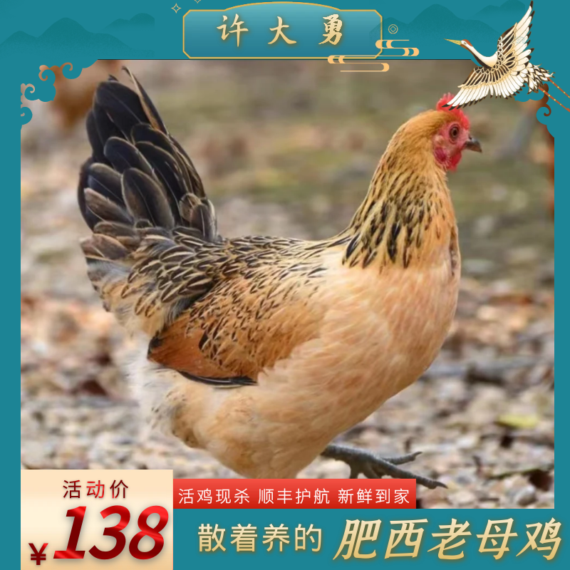 【老邓】正宗肥西老母鸡 农家散养土鸡 顺丰冷链 新鲜高品质