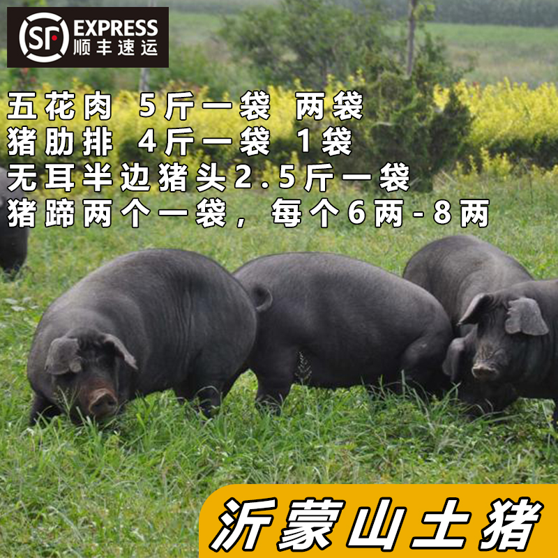 【年货专属 】沂蒙山半头土猪