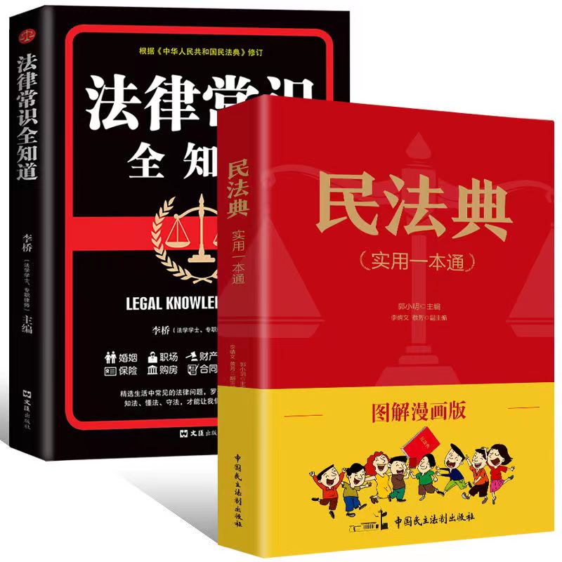 民法典漫画版年法律常识一本全民法典及司法解释实用版