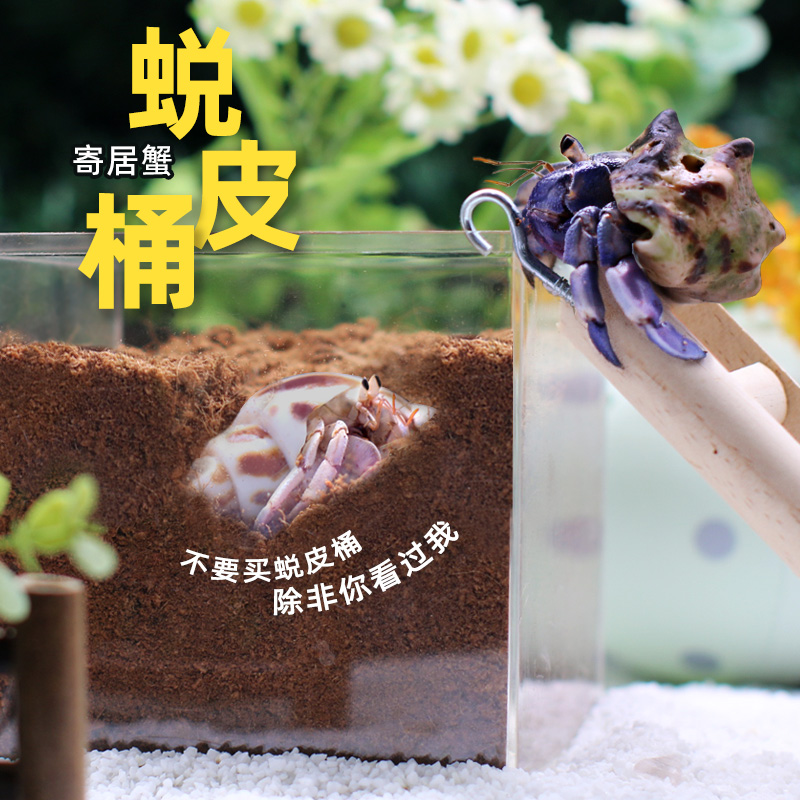 寄居蟹蜕皮桶套装隔离盒套缸活体宠物躲避大号小号专用迷你多规格