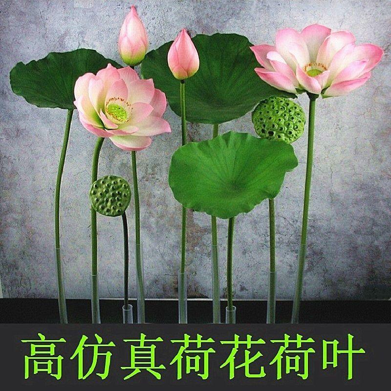 中式仿真荷花手感荷叶仿真莲花莲蓬假花绢花装饰手感花艺造景道具