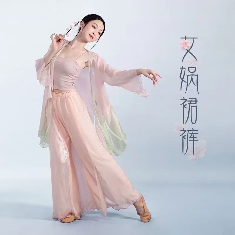 古典舞服中国舞古风舞蹈服女飘逸雪纺仙气纱衣练功服演出服套装女