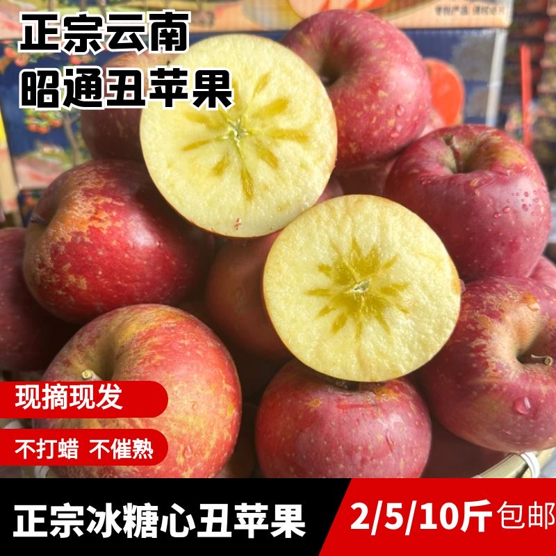 云南昭通丑正宗冰糖丑苹果冰糖心云南昭通糖心糖心苹果苹果1-9斤
