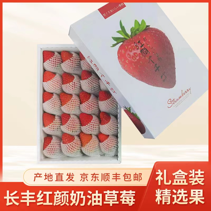 长丰红颜奶油草莓新鲜甜酸甜味现摘奶油草莓非丹东99草莓顺丰480g