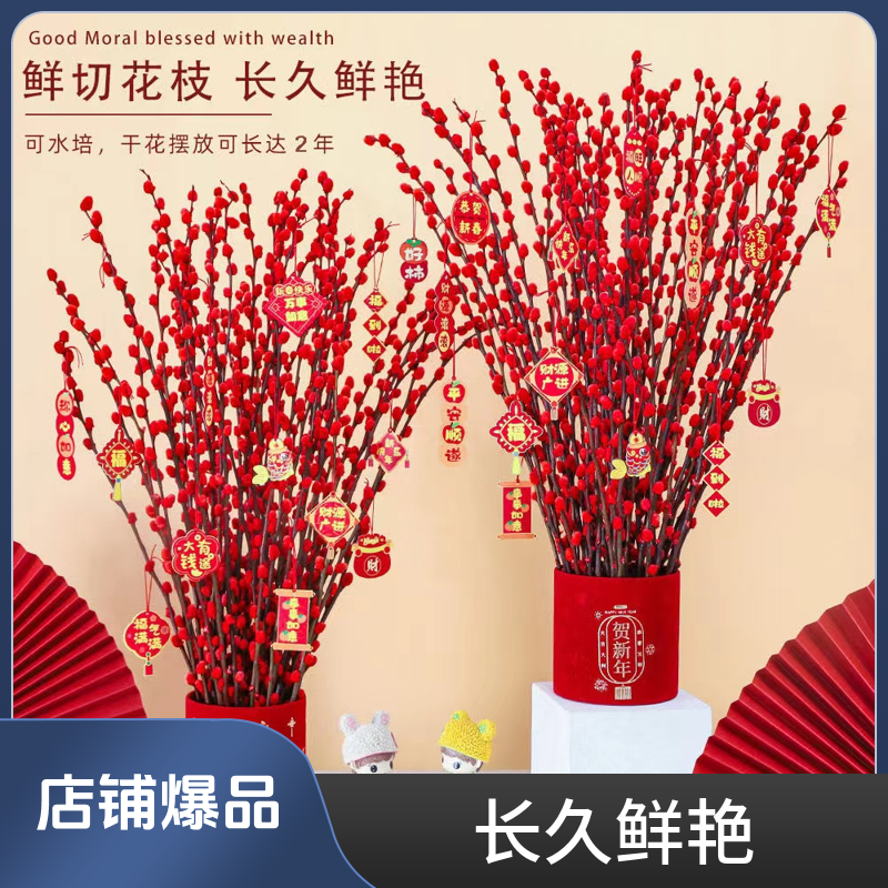 银柳送礼鲜花年宵花高端盆景耐寒花乔迁缤纷四季喜庆佳品开业专属