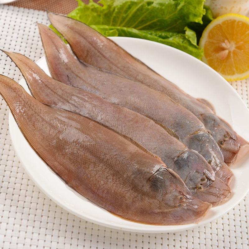 大鳎目鱼 新鲜伏鳎目 2斤起 天津发货