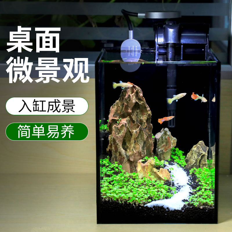 梅斯特科克超白玻璃微景观客厅家用全套造景小型创意水景桌面鱼缸