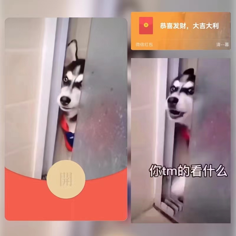 2024搞笑红包封面单挑狗炫酷创意新款封面动态红包制作服务