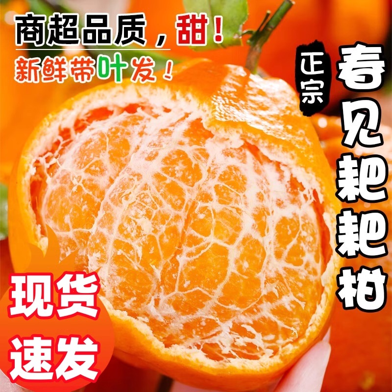【主播补贴】四川正宗香甜春见耙耙柑8斤新鲜水果整箱孕妇水果包邮