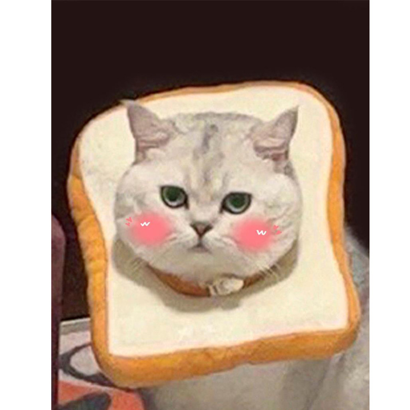 猫咪狗狗项圈伊丽莎白圈软圈防舔耻辱圈可调节绝育围脖圈可爱头套