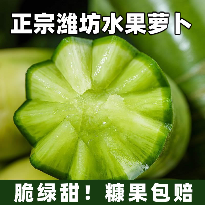 【水果萝卜】正宗山东潍坊萝卜5斤新鲜脆甜多汁水果型生吃青绿萝卜