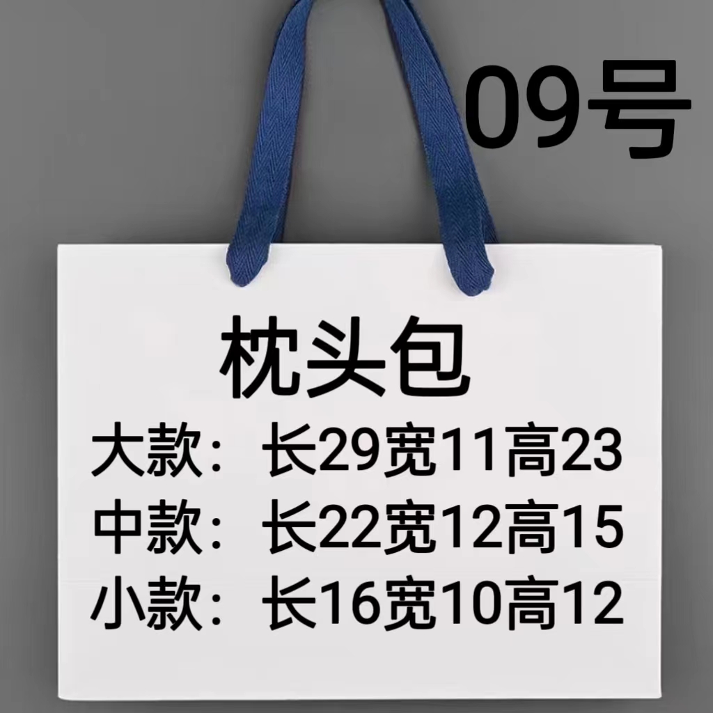 TT  09号爆款潮流枕头包6507-1#  6556#