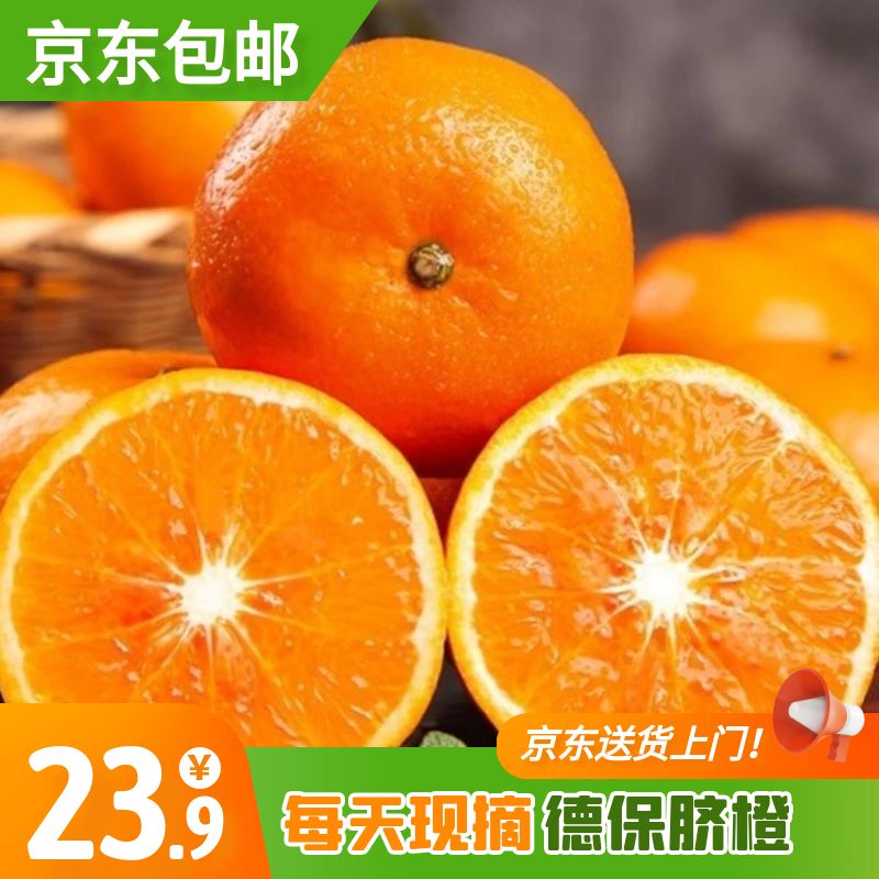 【京东包邮】广西百色德保脐橙新鲜采摘现摘现发5斤装