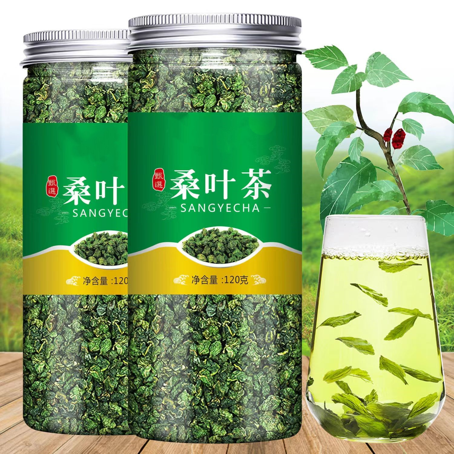 桑叶茶精选正宗新鲜霜后桑叶子茶桑树桑叶可搭配菊花蒲公英组合茶