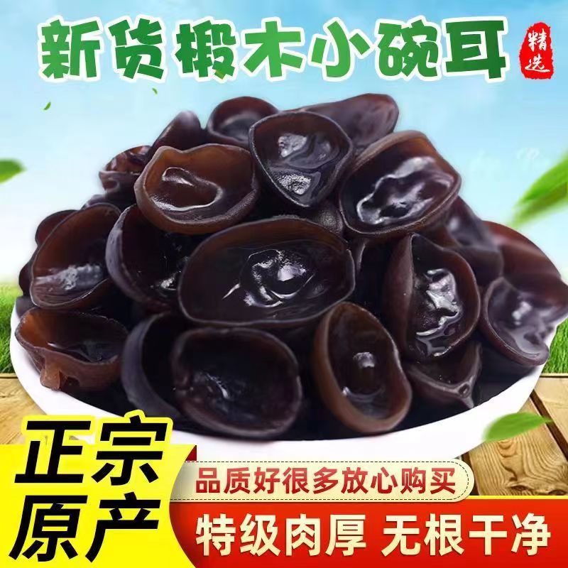 东北长白山特产黑木耳小碗耳秋耳凉拌木耳炒肉500g