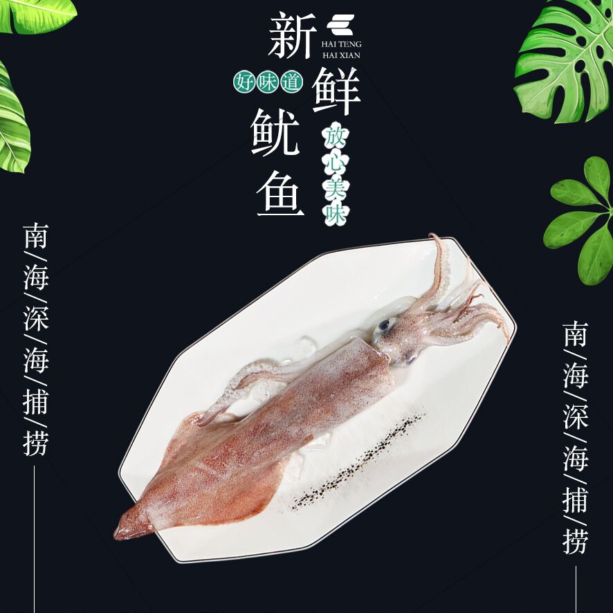 汕头海门纯野生灯照火箭鱿鱼 拖网鱿鱼 放网鱿鱼 南海深海渔获