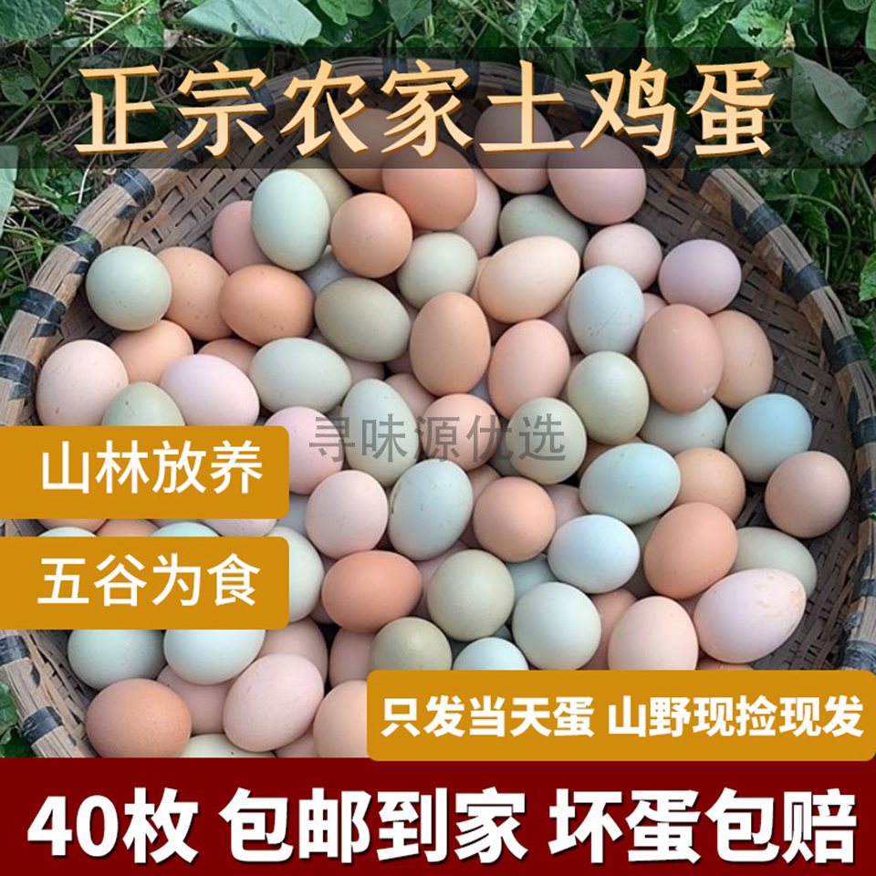 大别山正宗高山散养土鸡蛋新鲜营养鲜鸡蛋柴鸡蛋高品质散养土鸡蛋