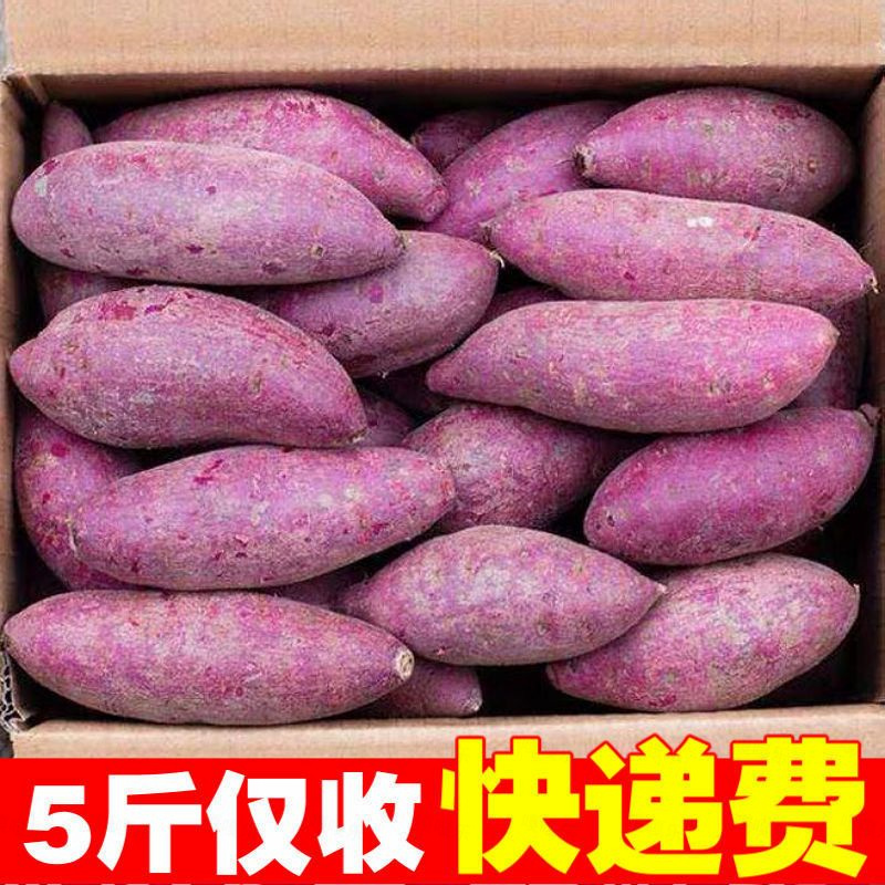 【新店半价抢】紫薯新鲜地瓜紫心蜜薯现挖沙地番薯甜山芋蔬菜1-9斤