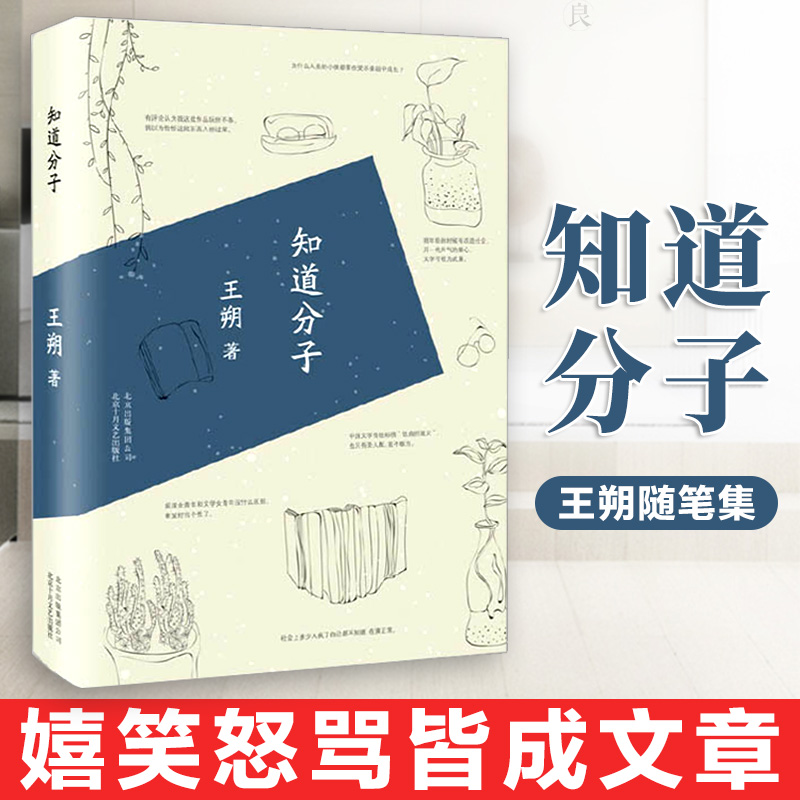 正版现货 知道分子 王朔作品 随笔集中国现当代文学 与看上去很美