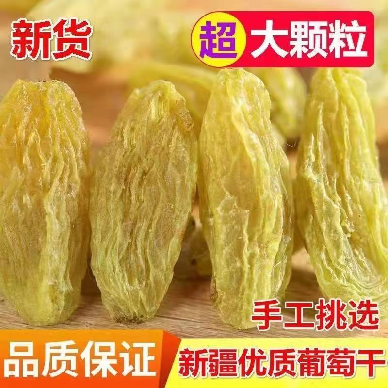葡萄干新疆特产大颗粒免洗葡萄干吐鲁番正宗无核大葡萄干零食特产