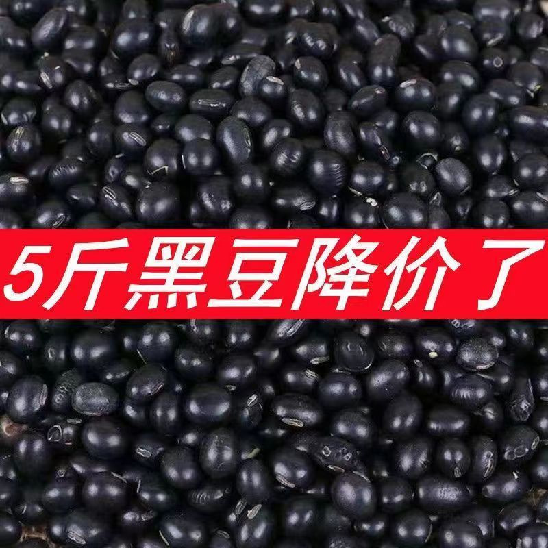 【药材级】黑豆打豆浆专用黄心黑豆打豆浆醋泡生豆芽非转基因批发