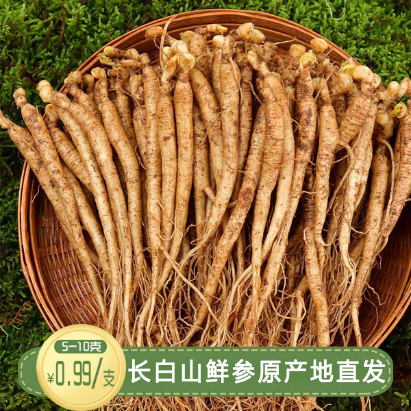 x 0.99/支吉林长白山鲜人参（单支5-10克）30支