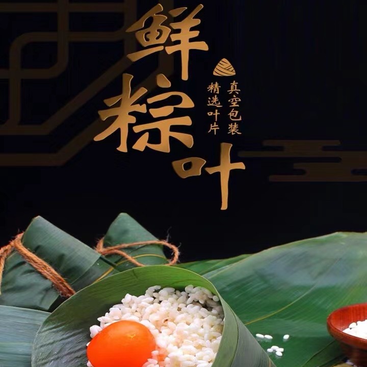 【9.99新鲜粽子叶】到手100片