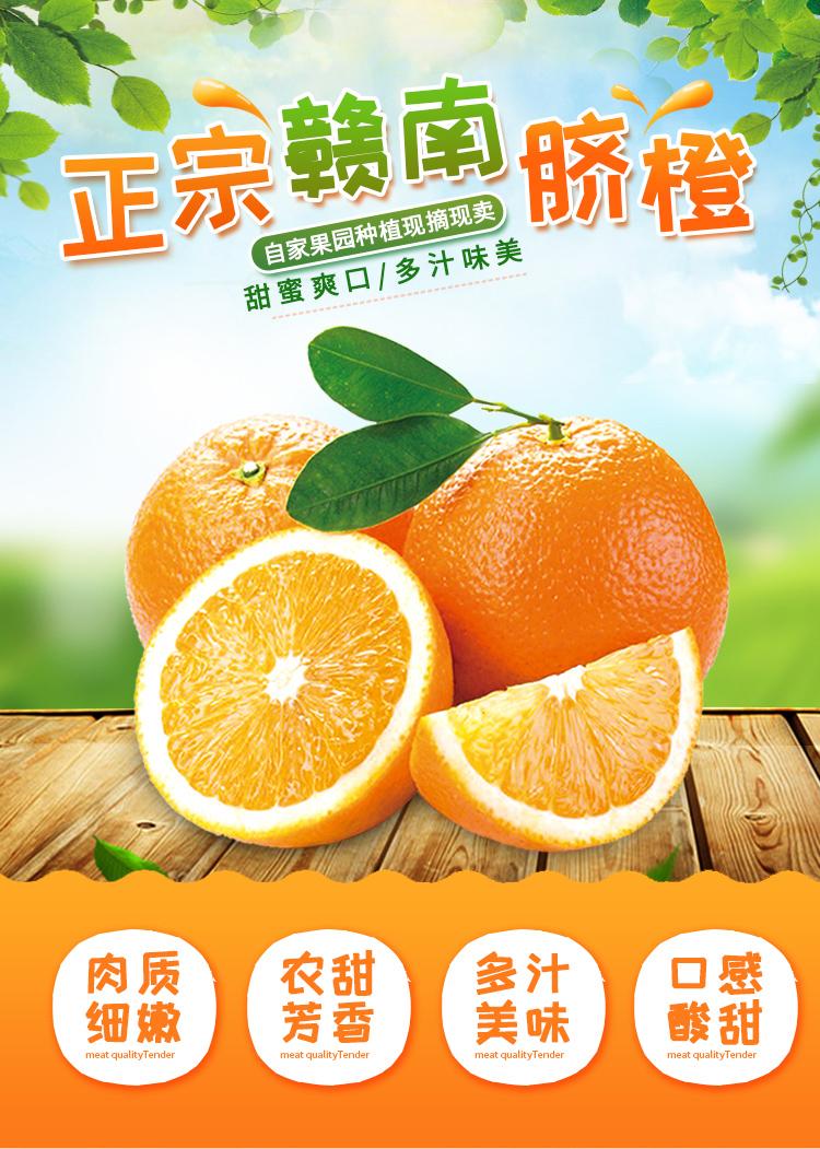 江西赣南原产地脐橙新鲜甜橙应季现摘水果5~20斤