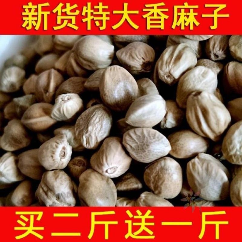 新货甘肃特产麻子五香大粒现炒人食新货火麻生熟麻籽/0lb蔬菜组合