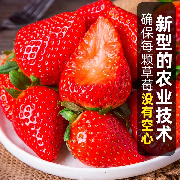 丹东99草莓产地直发应季草莓新鲜
