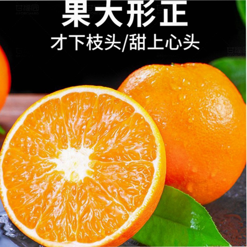 特产正宗江西赣南脐橙当季新鲜水果天然橙子榨汁香甜多汁现摘发货