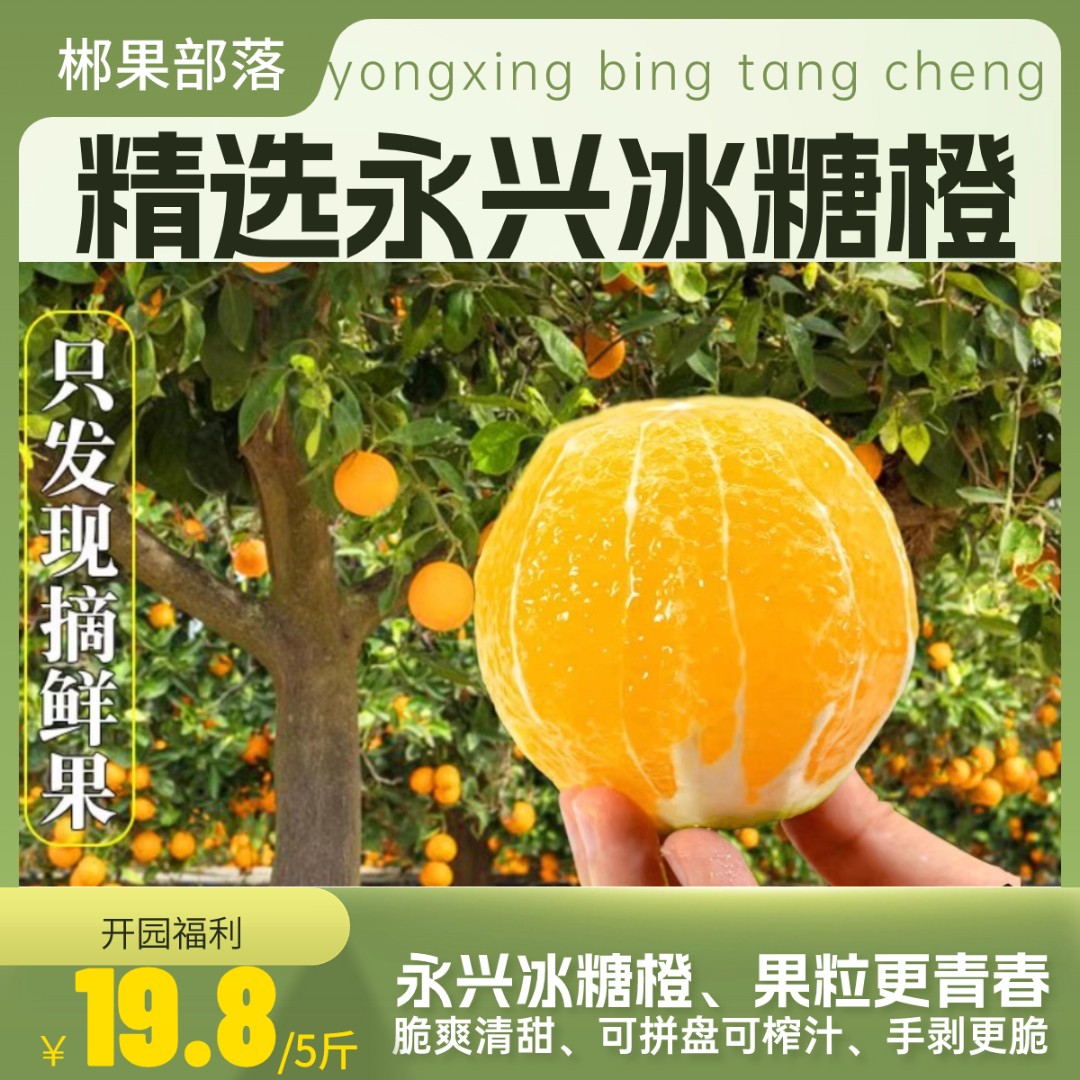 【5斤专拍】湖南郴州永兴冰糖橙脆爽纯甜5斤现摘新鲜橙子甄选水果