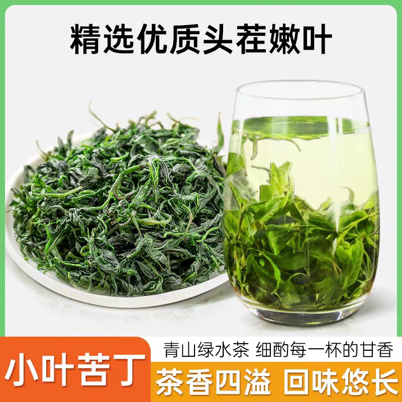 【新茶头采】小叶苦丁茶 嫩芽 青山绿水精挑细选 A2
