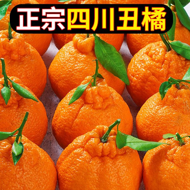 正宗高山不知火丑桔丑橘子水果新鲜应季橘3-9斤桔子非春见丑八怪
