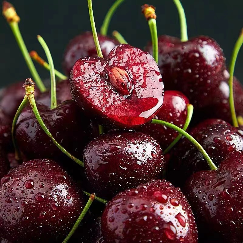 Yn拉宾斯智利海运车厘子J/4J坏果包赔5斤装 顺丰/京东 内附果径卡