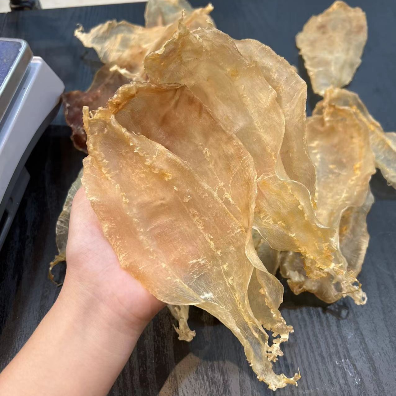 【小太阳景云】汕头土鳘鱼胶250g