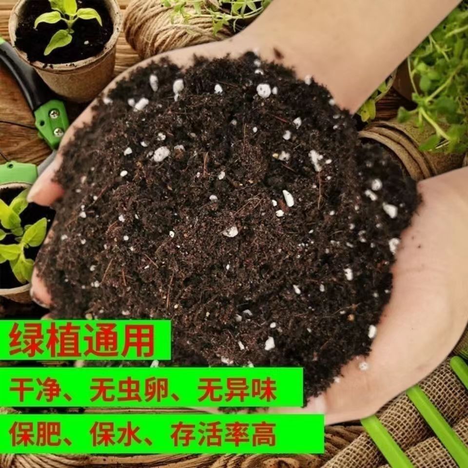 通用型发酵纯杨种菜土花土种花养花种植土壤有机肥无虫无味无臭