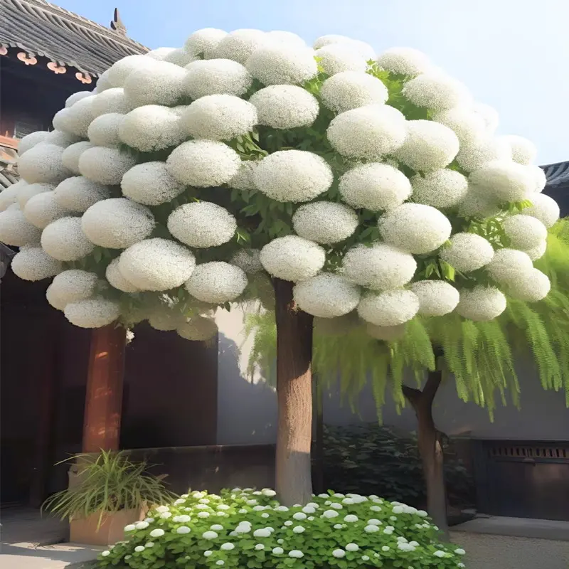 流苏树苗盆栽庭院绿化耐寒植物南北方种植花卉四季开风景树庭院树