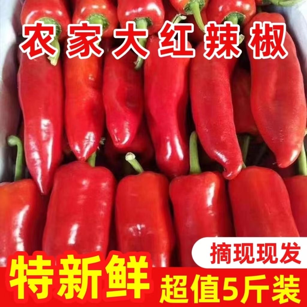 【曹小亮家】新鲜红辣椒现摘现发微辣菜椒净重5斤包邮