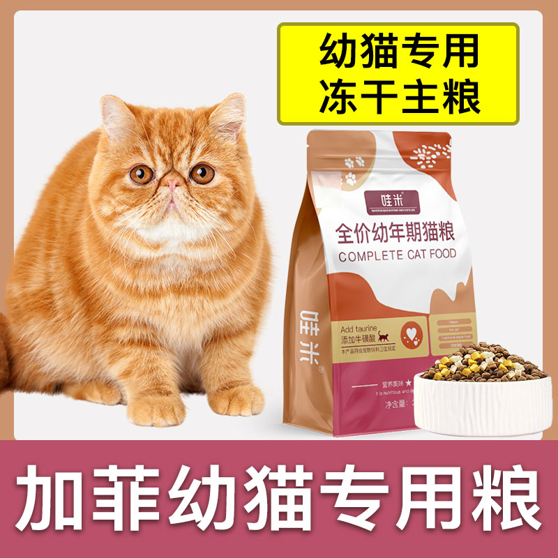 加菲猫幼猫专用冻干猫粮5斤装2.5kg幼猫成猫流浪猫咪小猫糕奶营养