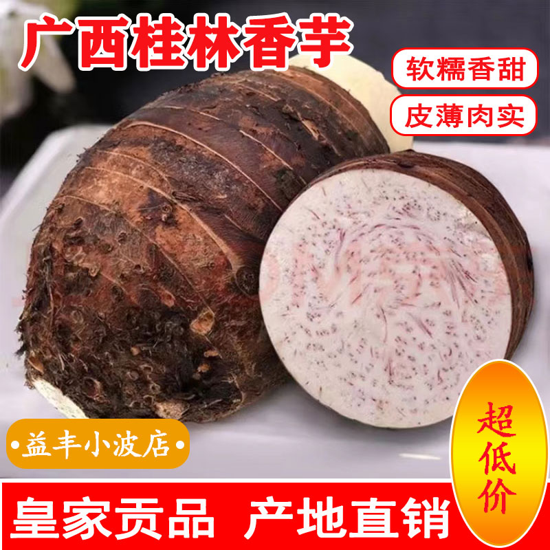 【软糯香甜】广西桂林大芋头新鲜现挖紫藤毛粉芋槟榔小香芋蔬菜批发