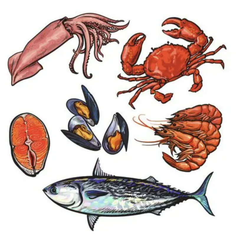 3号省外可拍福州发货 新鲜海鲜 食用【包鲜不包活】
