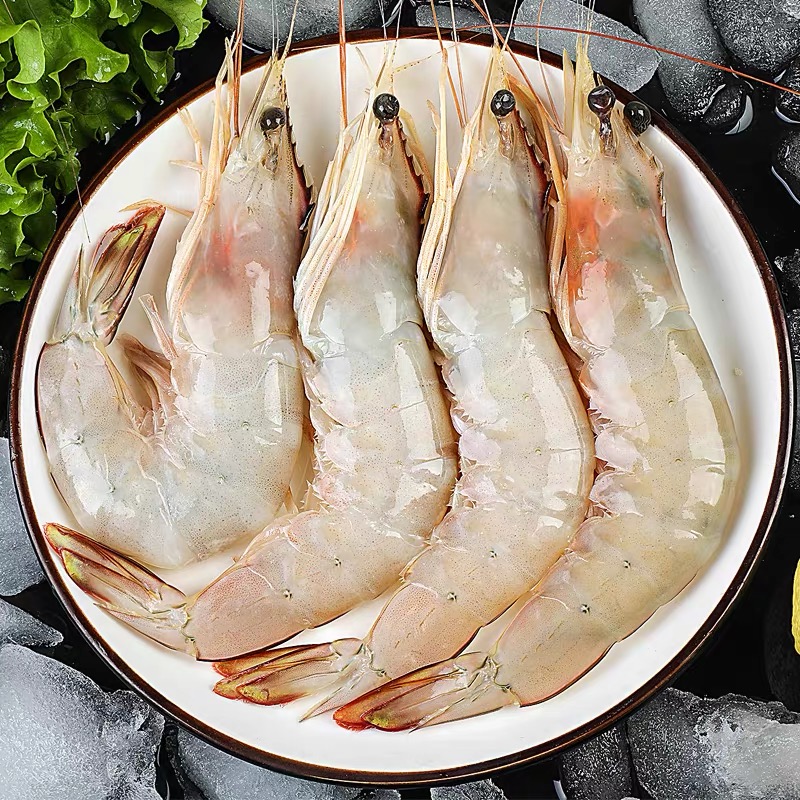 【白虾母】连江野生白虾母福州发货 新鲜食【包鲜不包活】