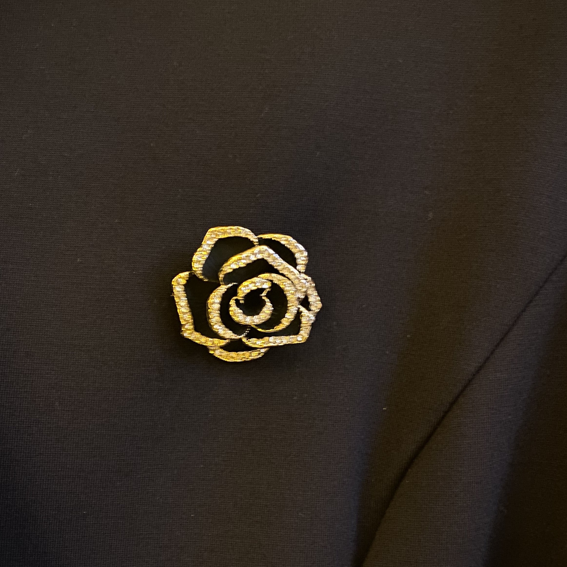 趣客11【 OVWII】经典胸针领针（XH596）服饰配件