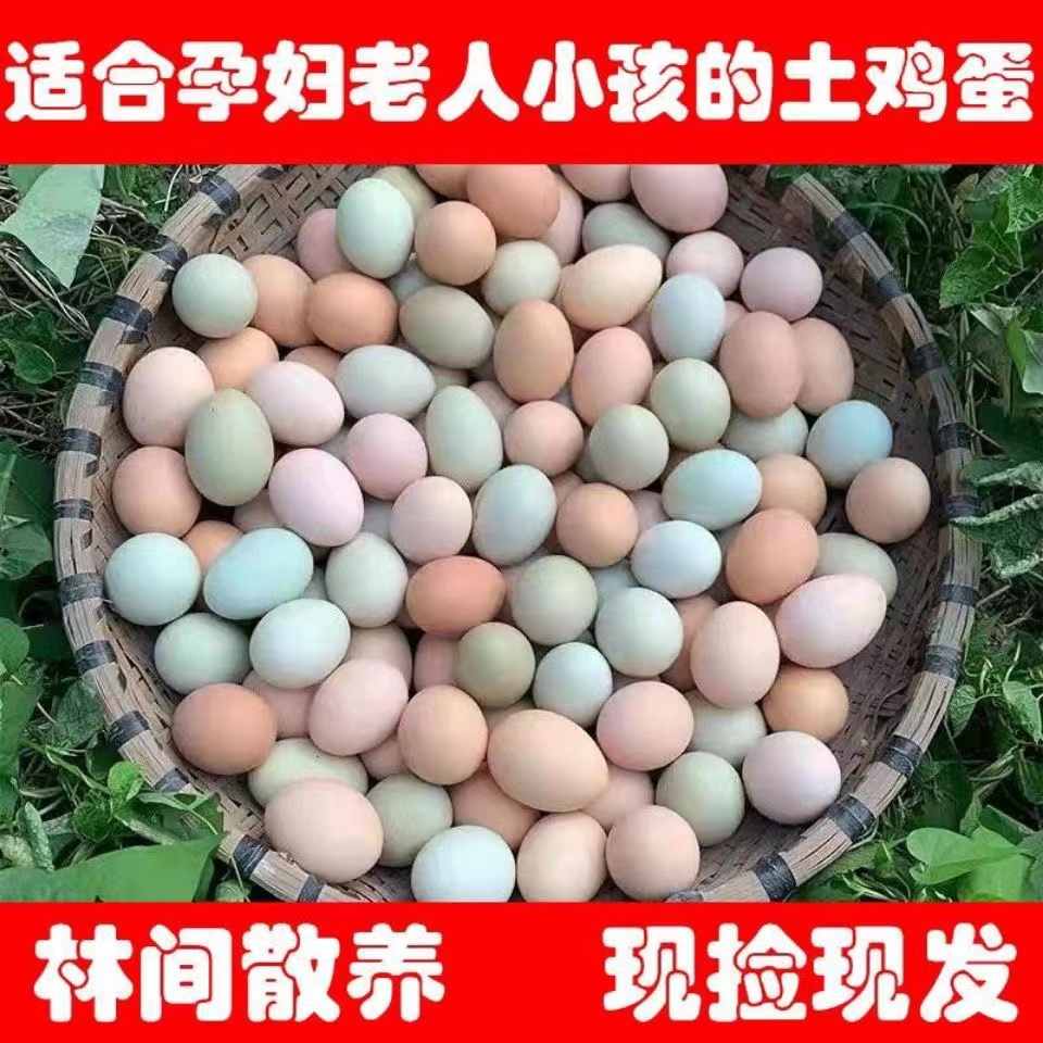 【果园直发】土鸡蛋乌鸡蛋农家散养辅食40枚1600克按下单规格发货
