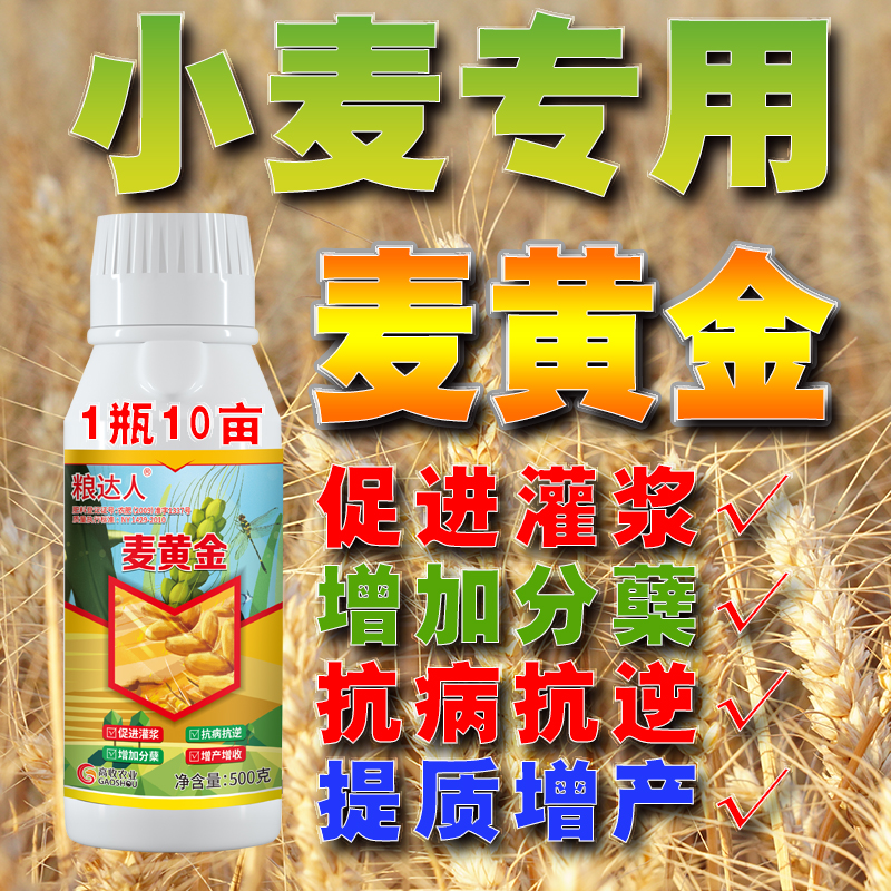 麦黄金小麦叶面肥肥500克1斤正品蔬菜有机肥通用型