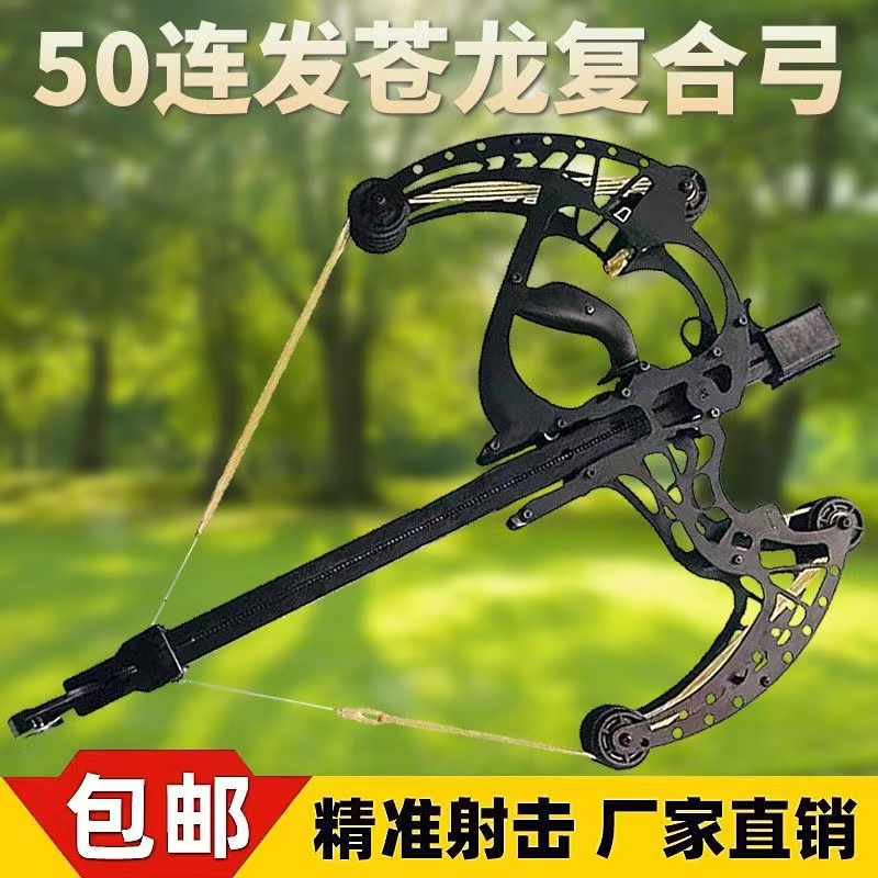 连发复合弓2024健身器材