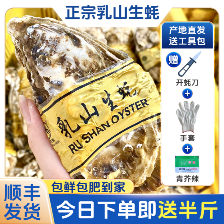 5.5斤【拍5斤送半斤】正宗乳山生蚝 现捕现发 源产地顺丰鲜活到家